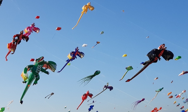 festival de l air dragons (640x384).jpg