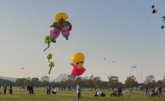 Festival de l air (640x393).jpg